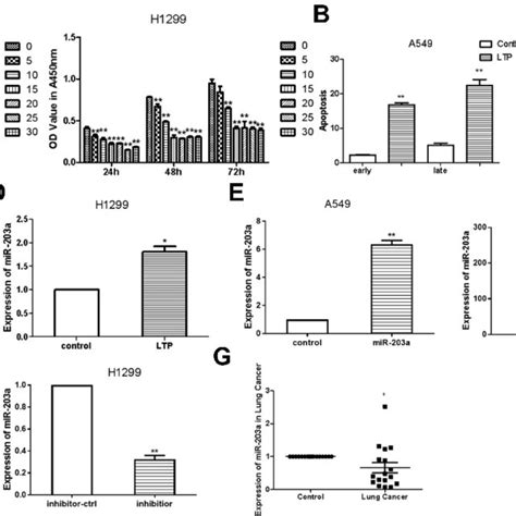 MiR 203a Inhibits Proliferation And Induces Apoptosis In Lung Cancer