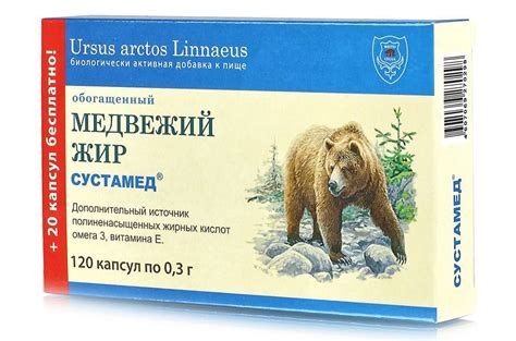 Медвежий жир, лечебные свойства, польза, показания, чем полезен