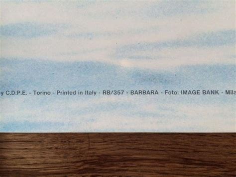 Original Vintage Barbara Nude Topless Sexy Pin Up Beach Poster S