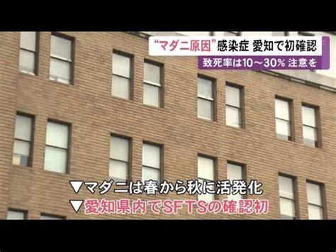 致死率は10 30 男性がマダニに噛まれた事で感染する重症熱性血小板減少症候群に 愛知で初確認 動物愛誤 ブルセラ症 發熱伴血小板