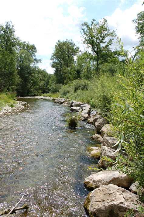 Les principales techniques daménagement des berges genibiodiv