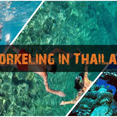 Find The Best Places For Snorkeling In Thailand Top 10 Snorkeling