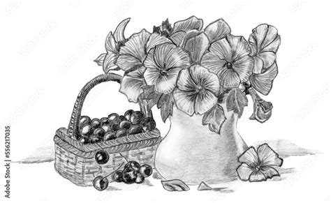 Pencil drawing still life bouquet of flowers Stock Illustration | Adobe ...