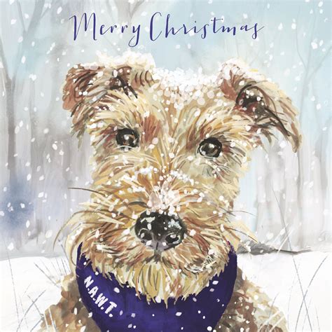 Animal Charity Christmas Cards – National Animal Welfare Trust