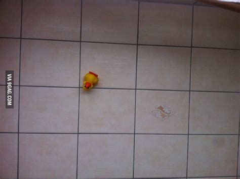 A Shady Duck Staring At Me While Showering 9GAG