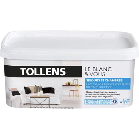 Peinture Blanche Mat Spécial Sejours Et Chambres Tollens Pour