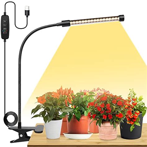 Best Heating Lamps For Your Plants