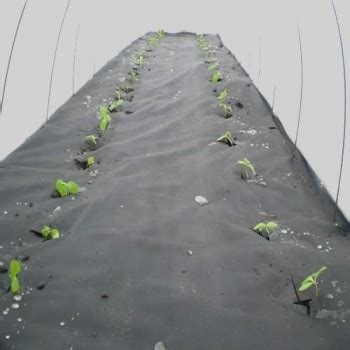 Агроволокно черное | Купить от производителя