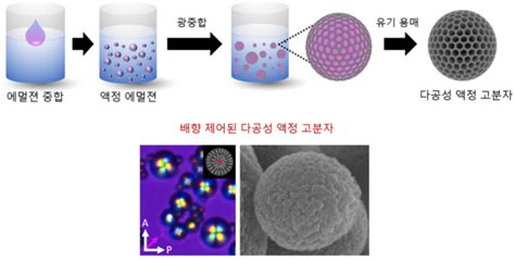 Kaist 다양한 기능 갖춘 복합체 형성하는 원천기술 개발 전자신문