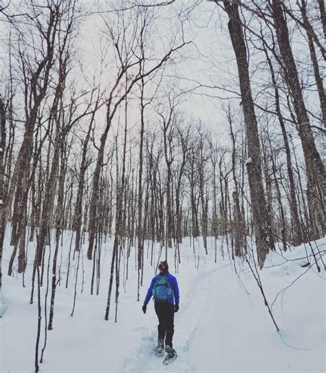 Trail 73 A 12 Km Snowshoe In Gatineau Park Adventure Report