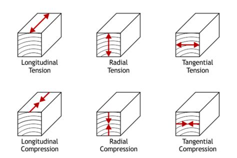 Structural Engineering Timber Strength In Tangential And Radial Directions Engineering Stack