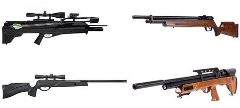 Top 5 Best Air Rifles For Hunting - Owner's Magazine