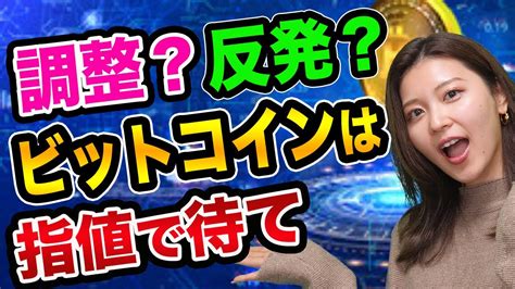 ビットコイン暴落は続く、でも今年1000万円になる【初心者向けのやり方】リップルやイーサリアムの運命と資産運用と金 │ 金融情報のまとめ