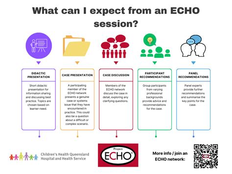 What Is ECHO Project ECHO