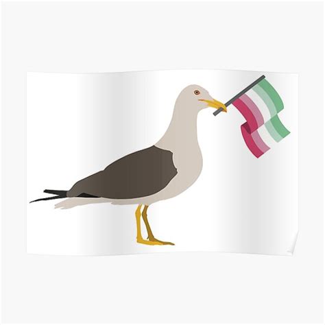 Seagull Holding Abrosexual Pride Flag Poster For Sale By Justgottadraw Redbubble