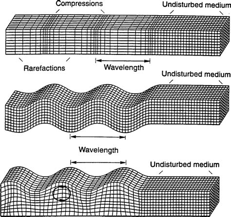 Diagram Of A Compression Wave - chartdevelopment