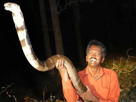 Kerala Snake Rescuer Vava Suresh Survives Yet Another Cobra Bite All