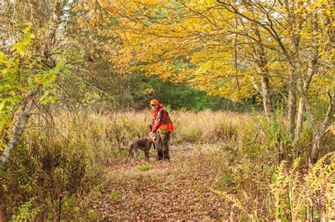 RHODE ISLAND: SMALL GAME HUNTING SEASON – My Backyard News