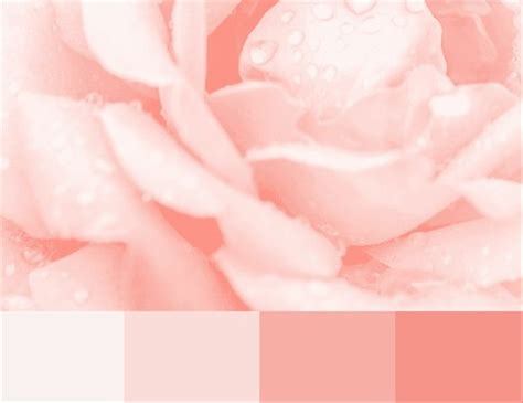 Kode Warna Pastel Di Canva Apa Saja