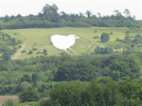 The Bulford Kiwi Amusing Planet