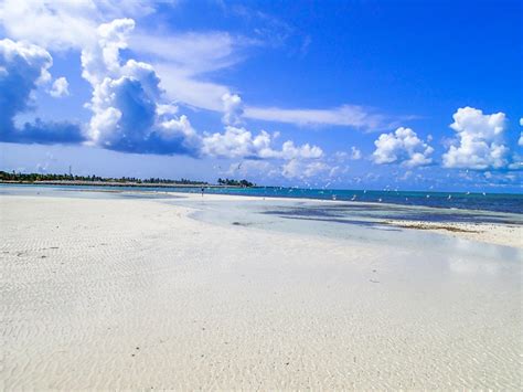 Bimini Sandbars Full Day Of Exhaustive Fun In The Bahamas