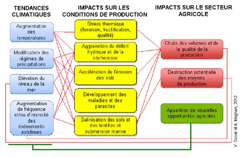 Cha Ne Des Impacts Attendre Du Changement Climatique Sur L