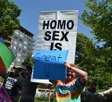 The Lost Albatross Homo Sex Is Great