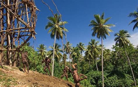 Pix Grove: Land Diving In Vanuatu