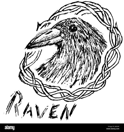 Crow raven handdrawn sketch in blackthorn isolated on white Stock ...