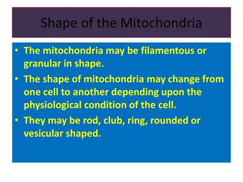 Ppt Ultrastructure Of Mitochondria Dr Rathod L R Assistance Professor Department Of Botany