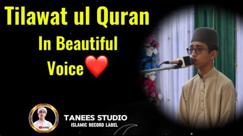 Beautiful Tilawat E Quran By Hafiz Muhammad Tanees Tilawat E Quran