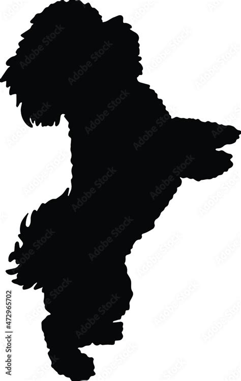 Shih Tzu Dog Silhouette Shih Tzu Dog SVG Stock Vector | Adobe Stock