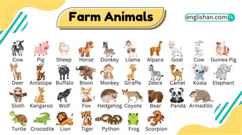 Farm Animals Names in English with Infographics • Englishan