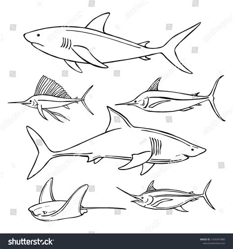 16121 Sharks Lines Images Stock Photos And Vectors Shutterstock