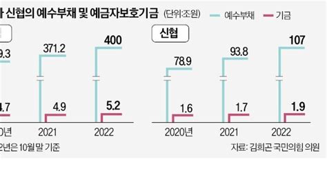 800조 농협·신협·새마을금고 예금자 보호는 덩치값 못한다