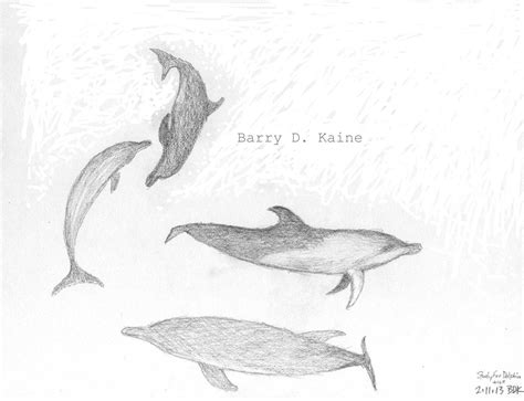 Dolphins pencil drawing 003 print by Artitorium on Etsy