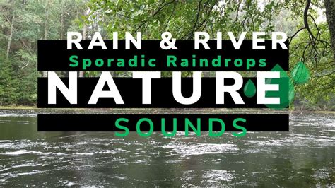 Rain And River Sounds Peaceful River Flowing Sounds With Raindrops