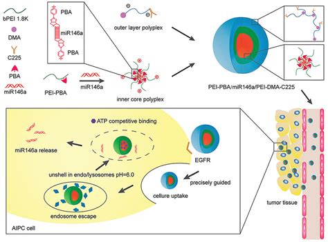 Recent Advances In Stimulusresponsive Nanocarriers For Gene Therapy