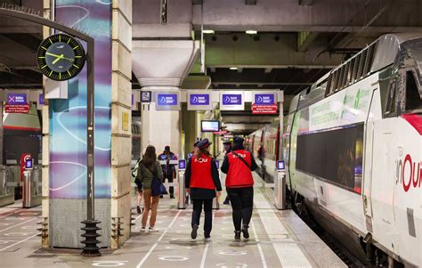 La SNCF relaxée pour la mort de Neko chat écrasé par un train