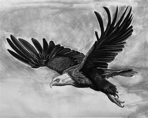 How To Sketch An Eagle In Pencil Draw An Eagle Bird Step By Step