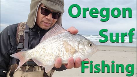 Catching Big Surf Perch Mtf Surf Fishing Tournament Youtube