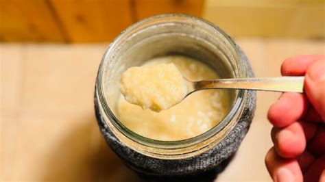 Health Benefits Of Amazake Revolution Fermentation