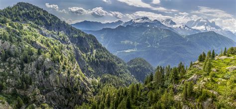 Switzerland Alps Free Stock Photo - Public Domain Pictures