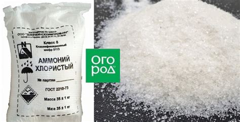 Топ-5 опасных удобрений – будьте осторожны! | Дела огородные (Огород.ru)