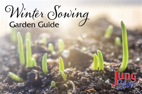 Winter Sowing Garden Guide | Jung Seed Gardening Blog