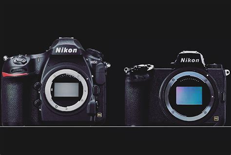 Comparison Images Nikon Full Frame Mirrorless Camera Vs Nikon D