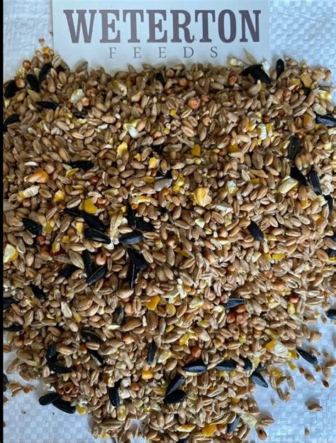 Weterton Feeds Quality All Seasons Wild Bird Seed With Aniseed 20kg