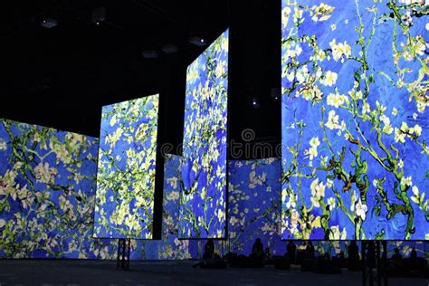 Multi Sensory Exhibition In Poznan Poland The Almond Blossom