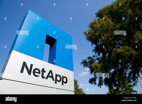 Netapp Logo Vector