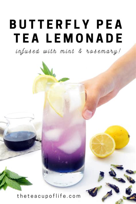 Butterfly Pea Flower Tea Lemonade Herb Infused The Cup Of Life